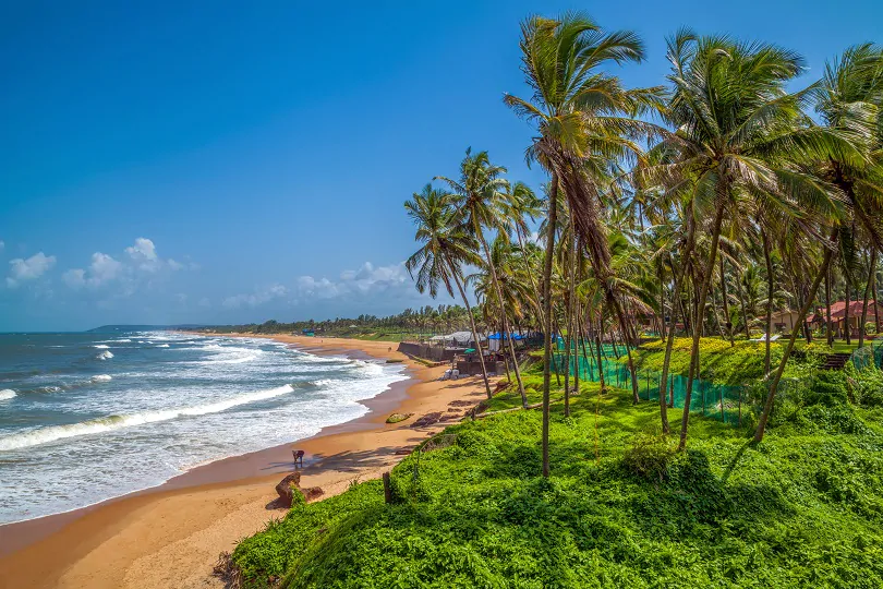 Travel Insurance